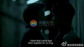 青少年同性恋视频,青少年同性恋生活的真实写照