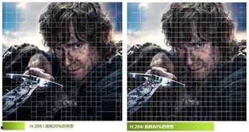 国内h视频,潮流趋势与用户行为洞察