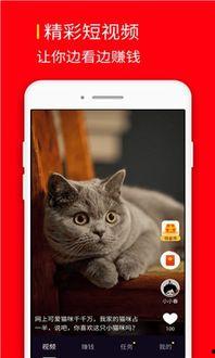 边刷视频边赚钱的软件