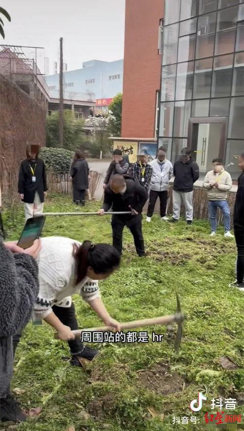 挖地视频,挖地视频揭示的奇妙景观